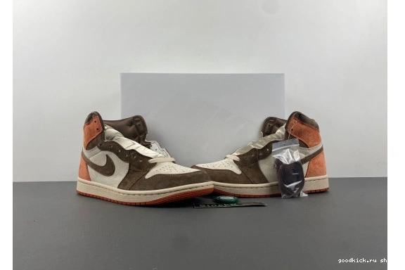 1 Clay SP Jordan FQ2941-200   FQ2941-200 Retro Dusted High OG 0210